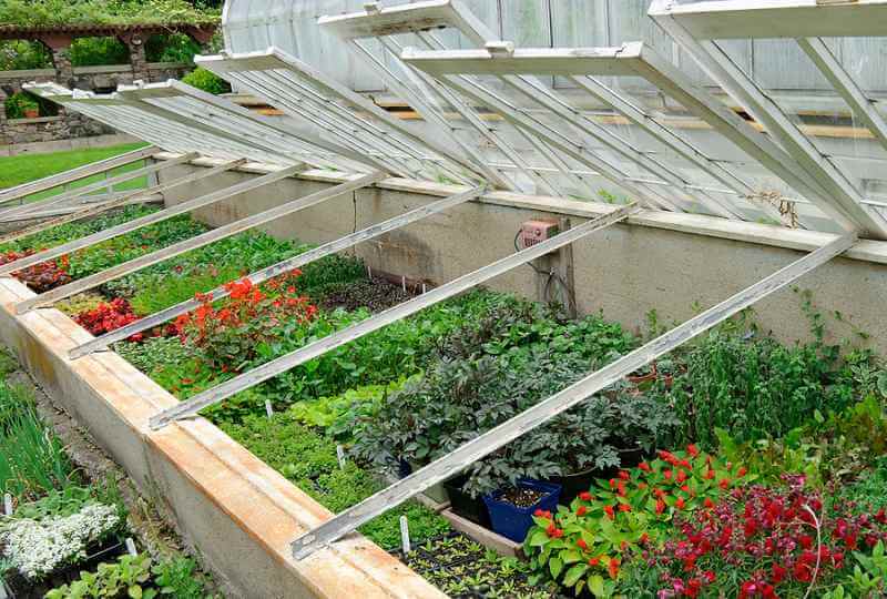 Парник из оконных рам