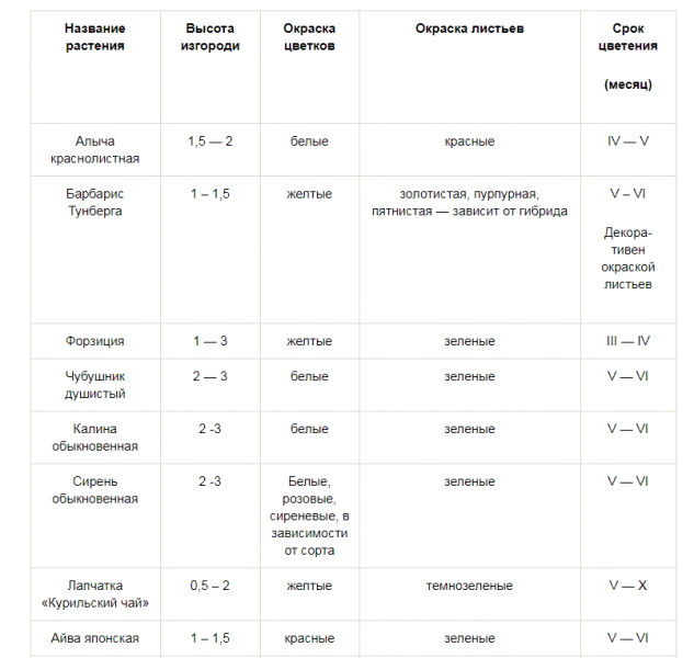 Деревья вдоль забора на участке + фото