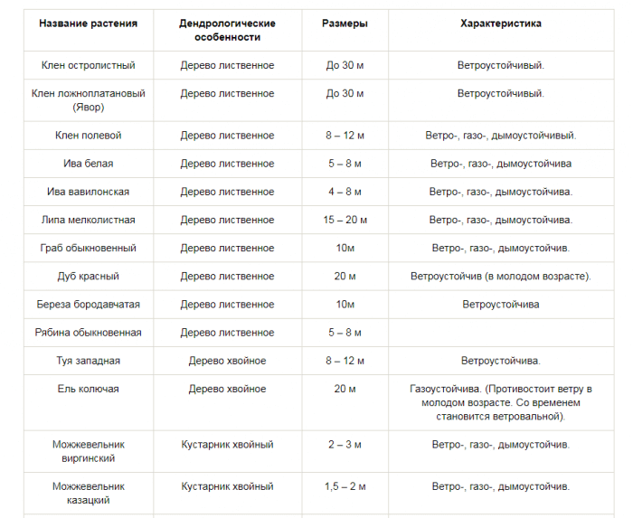 Деревья вдоль забора на участке + фото