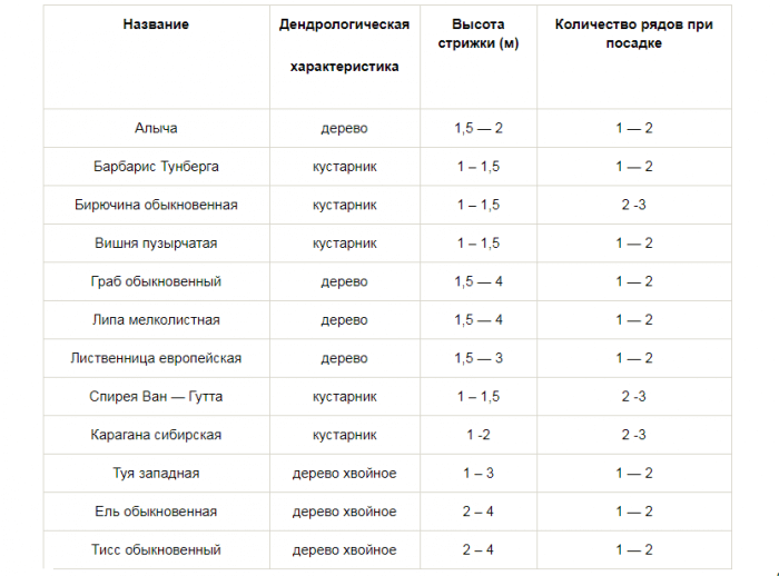 Деревья вдоль забора на участке + фото