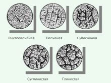 Ландшафтный дизайн сада: как оформить свой участок?