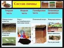 Ландшафтный дизайн сада: как оформить свой участок?